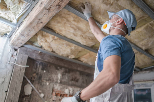 Best Insulation Materials and Products in East Dubuque, IL